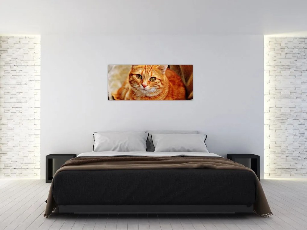 Tablou - Pisica tolenită (120x50 cm)