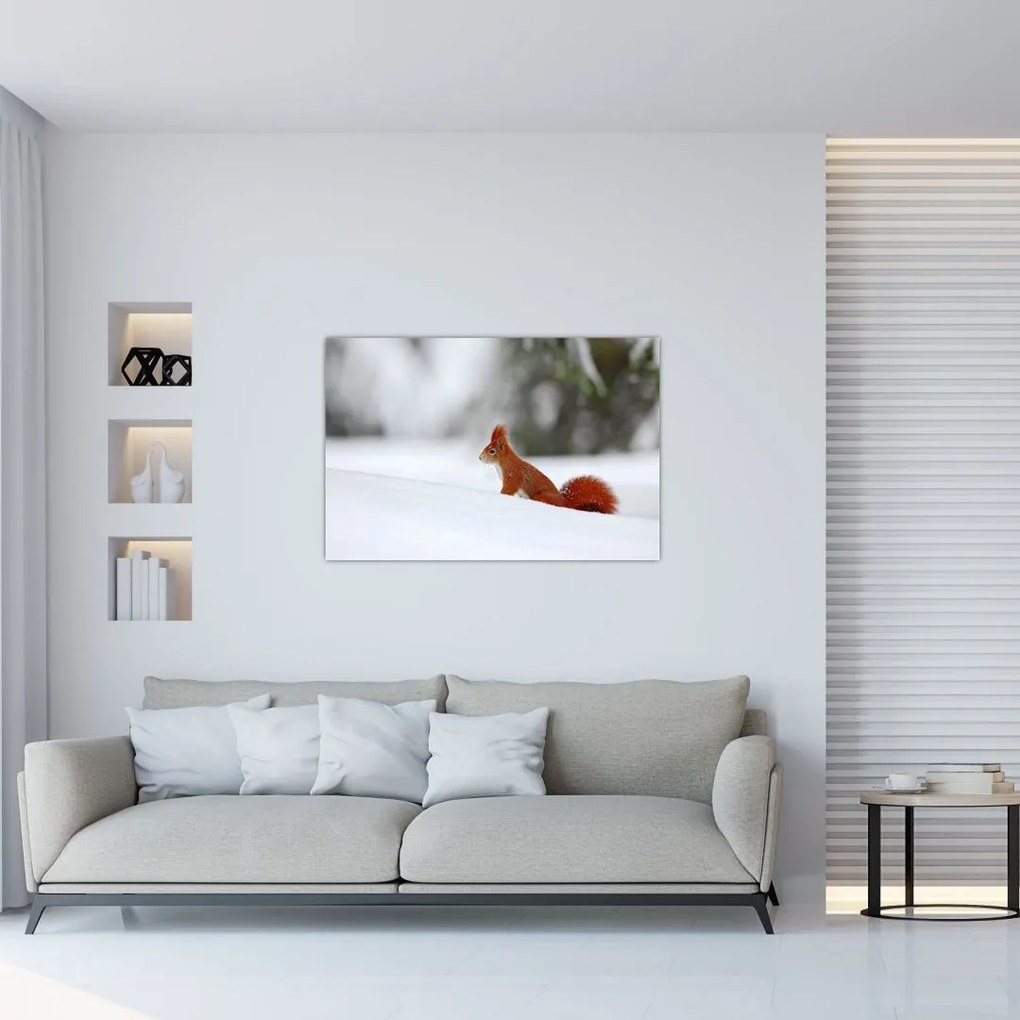 Tablou - Vevetițe (90x60 cm)