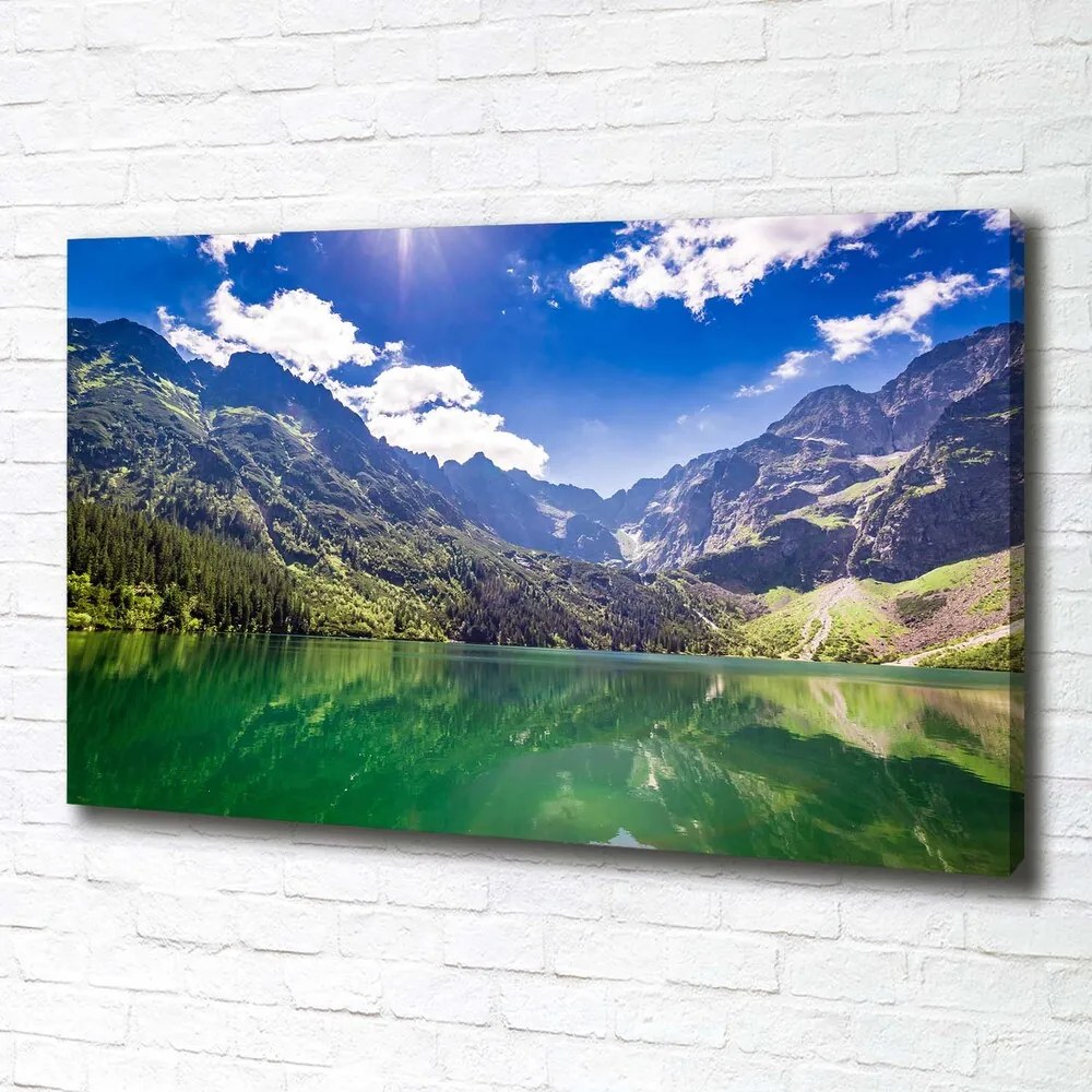 Pictură pe pânză Marine ochi tatry
