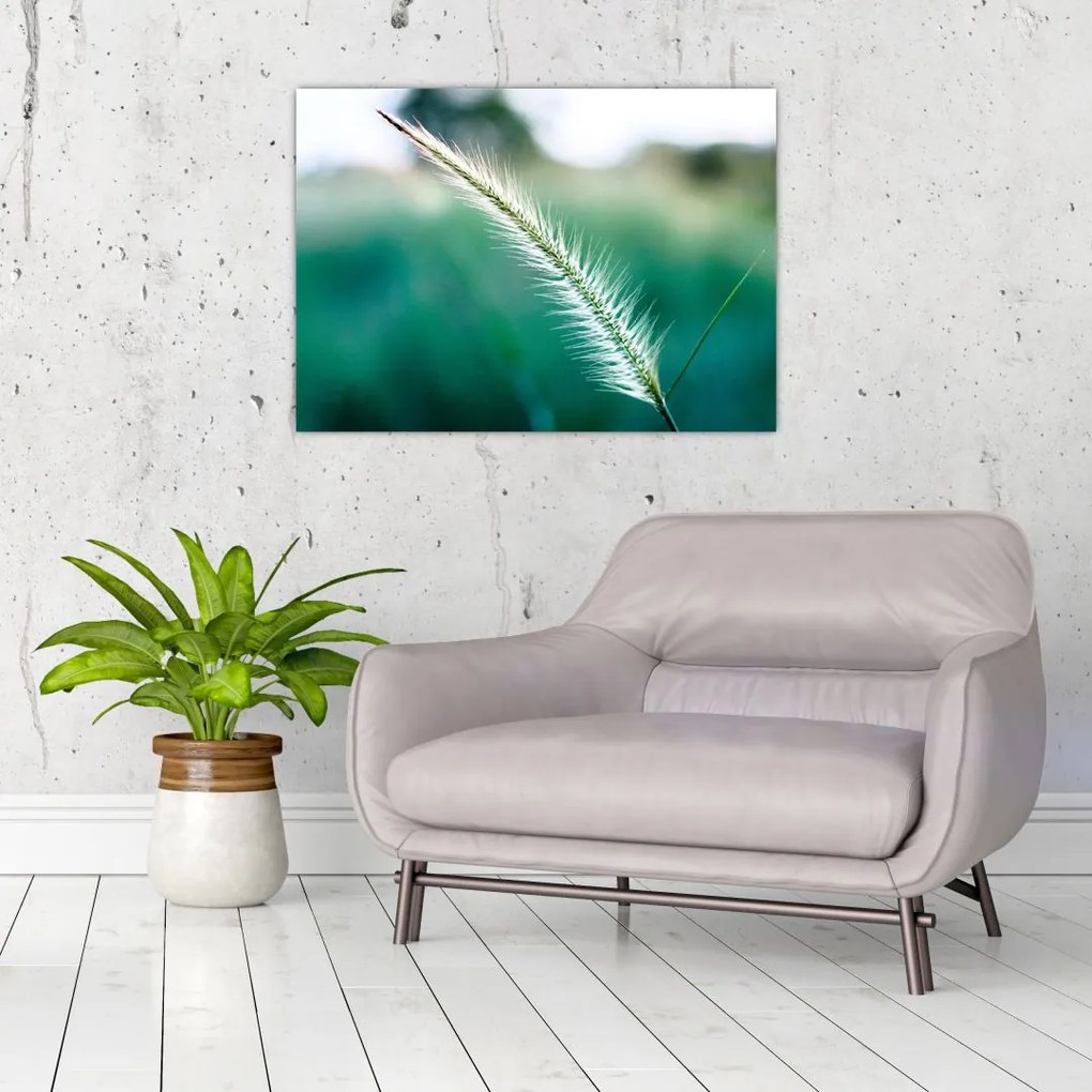 Tablou cu fir de iarbă (70x50 cm)