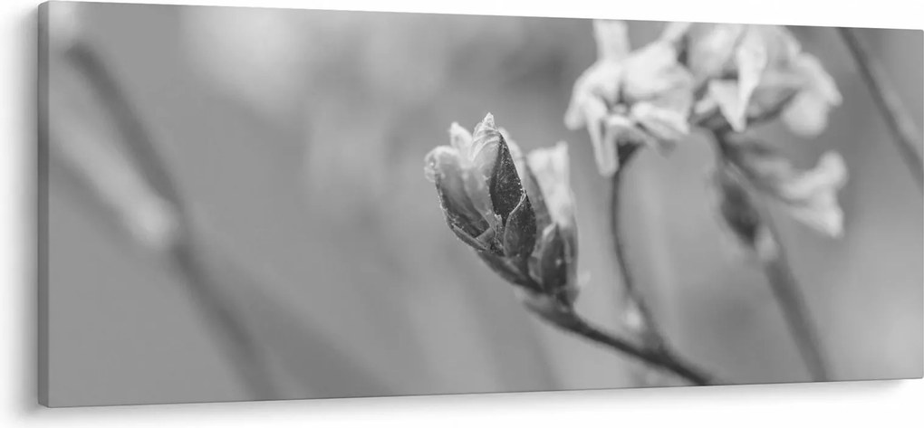 Tablou - Floare înflorită (120x50 cm)