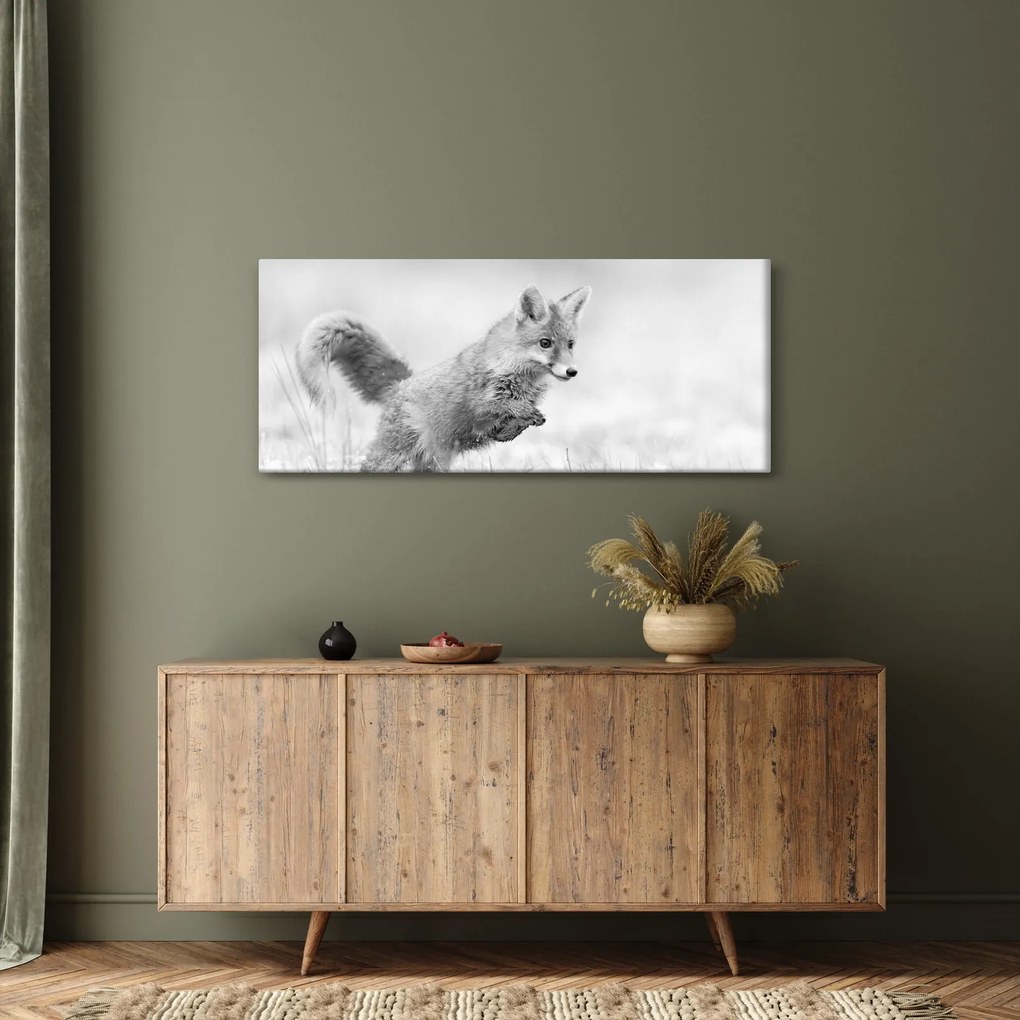 Tablou - Vulpe care sare,alb-negru (120x50 cm)