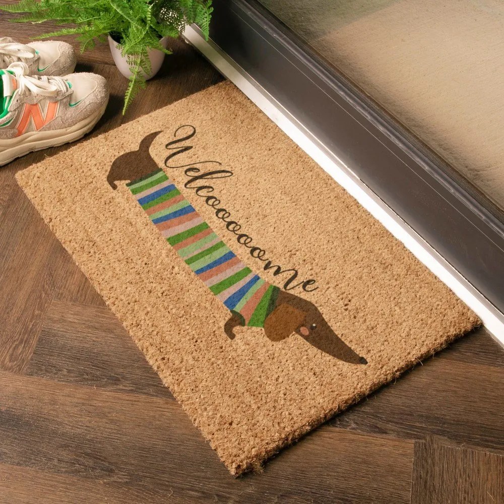 Covoraș de intrare din fibre de nucă de cocos 40x60 cm Welcome Sausage Dog – Artsy Doormats