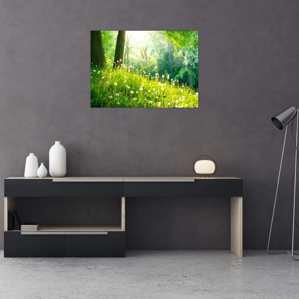 Tablou pe sticlă - Pajiște magică plină de păpădii (70x50 cm)