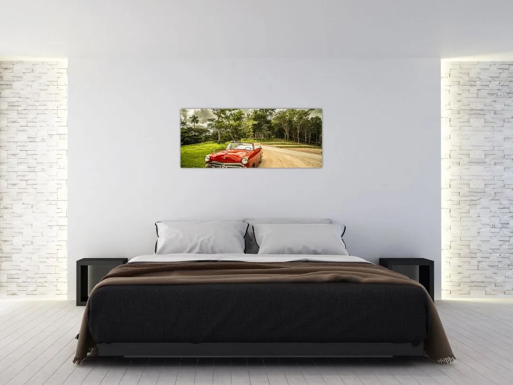Tablou - mașina veteran în natură (120x50 cm)