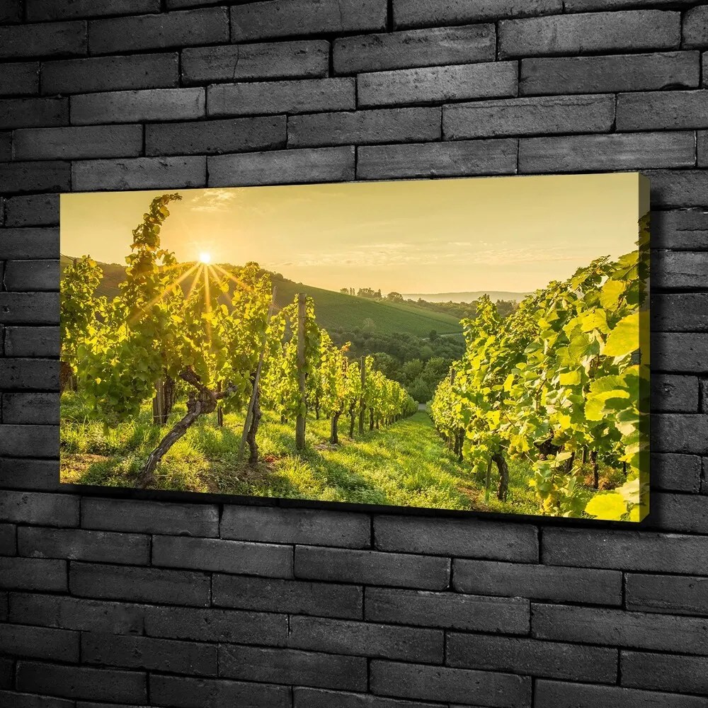Print pe canvas Vie