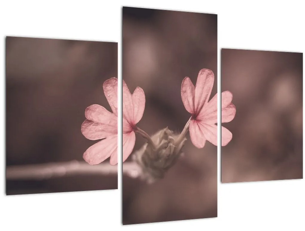 Tablou cu floare roz (90x60 cm)