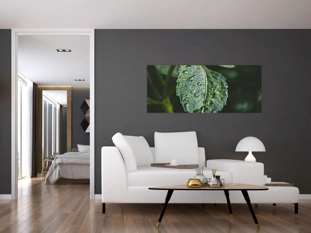 Tablou - picături pe frunză (120x50 cm)