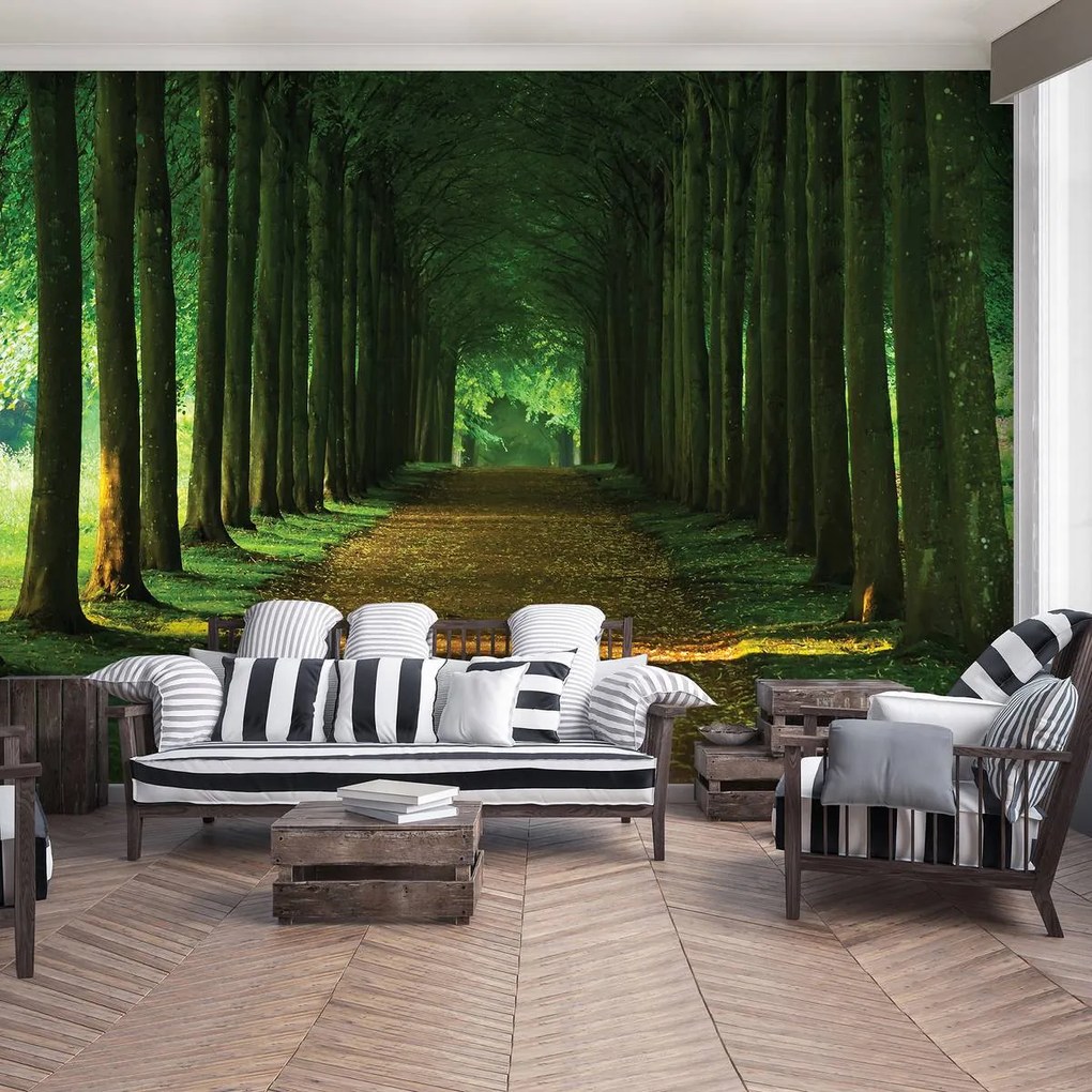 Fototapet - Alee (152,5x104 cm)