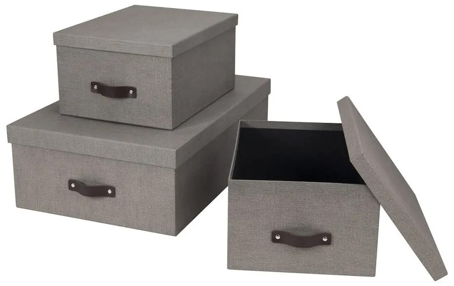 Cutii de depozitare 3 buc. cu capac Inge – Bigso Box of Sweden