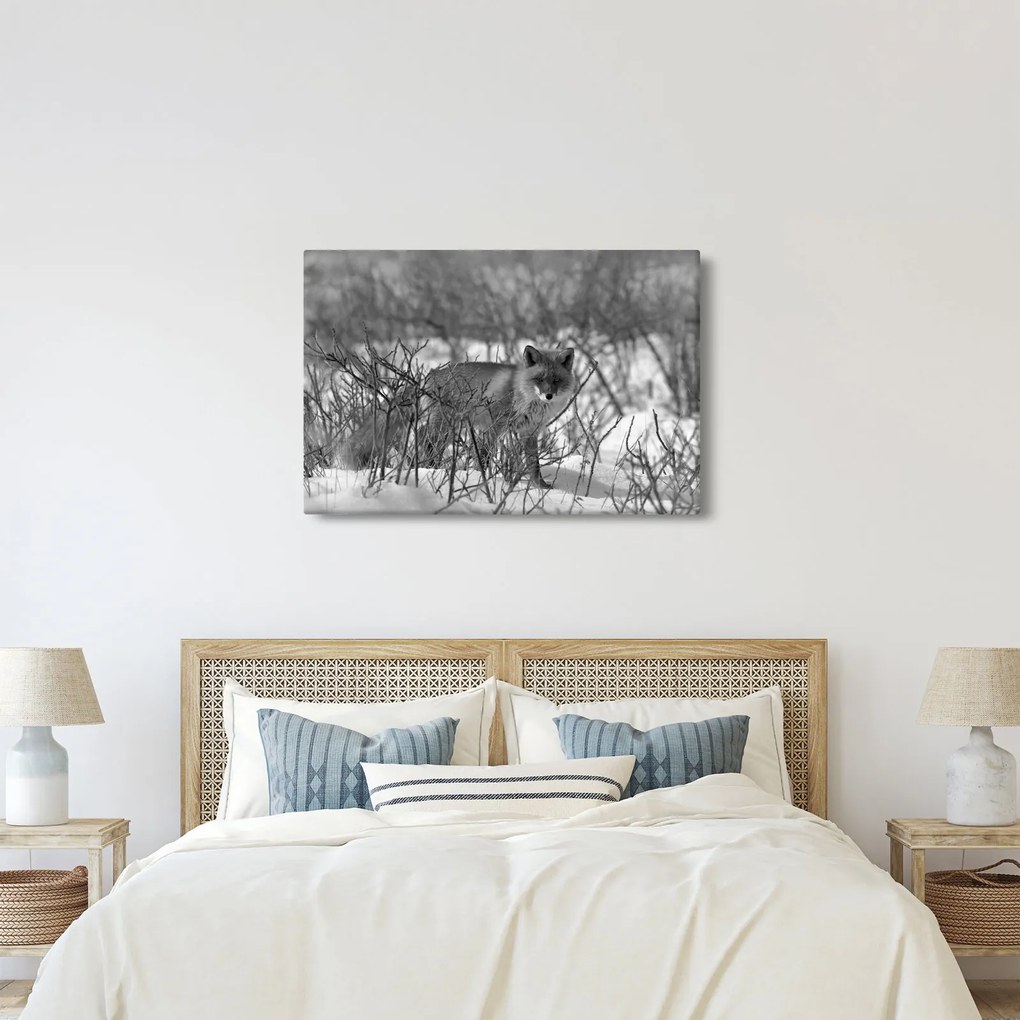 Tablou - Vulpe în timpul iernii (90x60 cm)