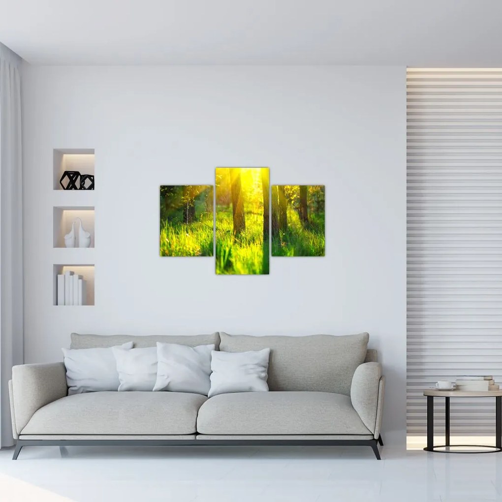 Tablou - Trezirea de primăvară a pădurii (90x60 cm)