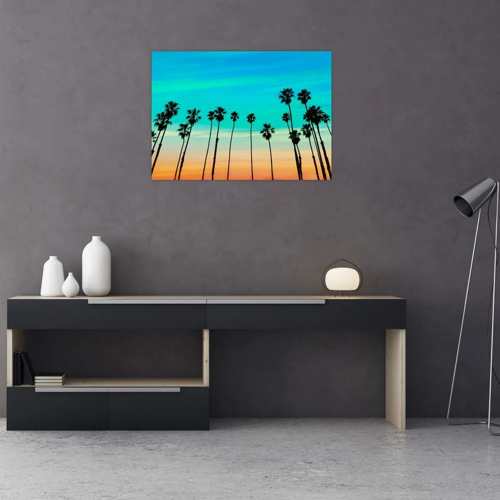 Tablou pe sticlă - California (70x50 cm)