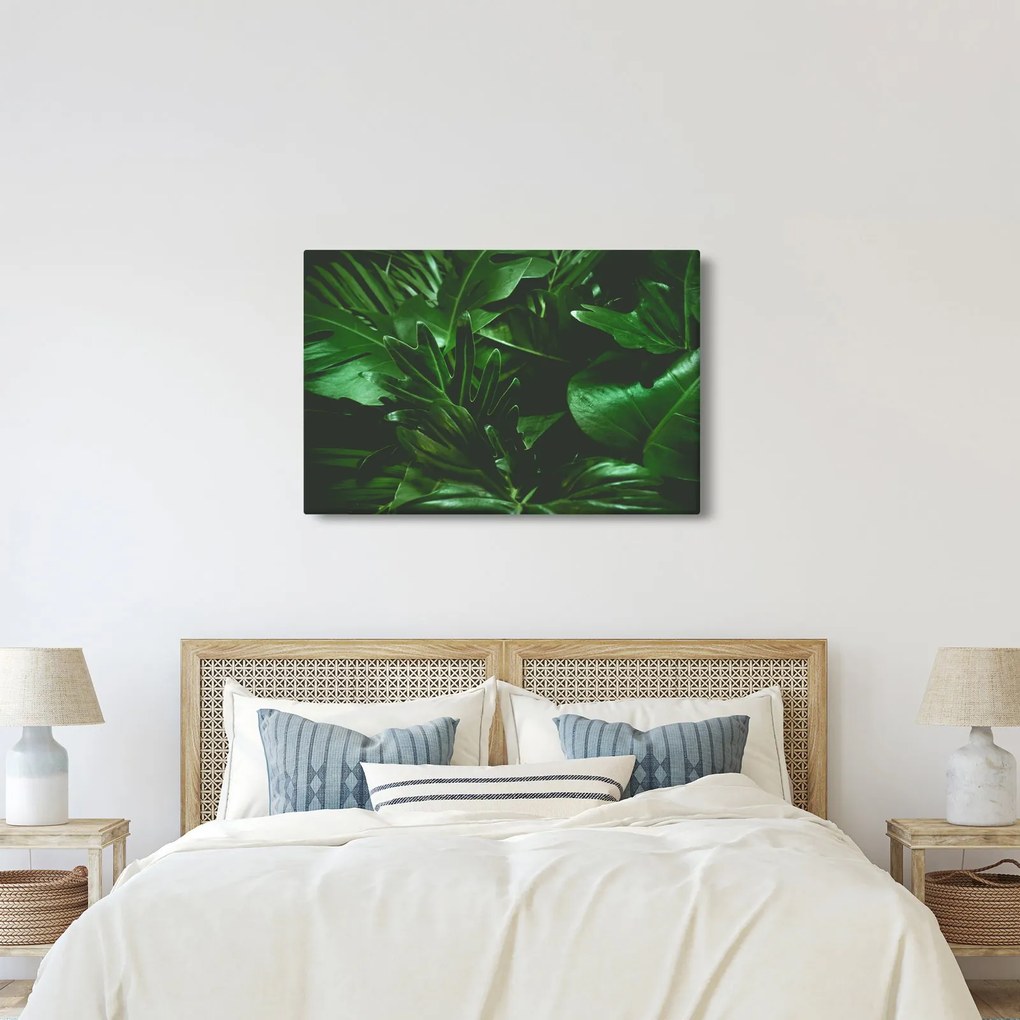 Tablou - Frunze de palmier (90x60 cm)