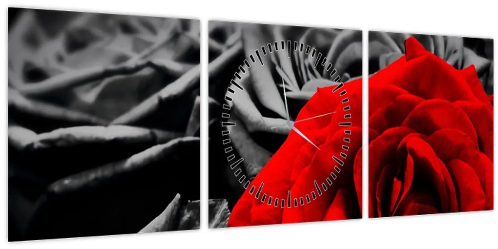 Tablou - Trandafir (cu ceas) (90x30 cm)