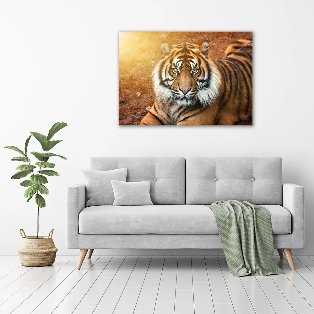 Tablou canvas Tigru bengalez