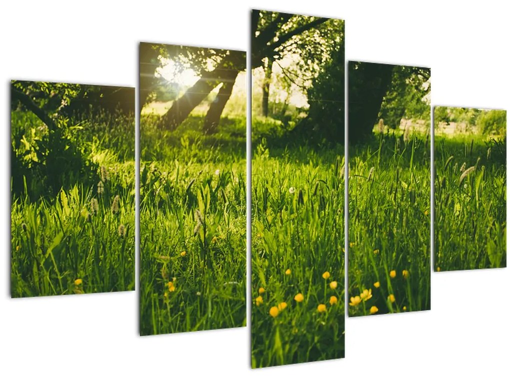 Tablou cu natura - lunca (150x105 cm)
