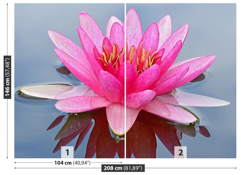 Fototapet Pink Water Lily