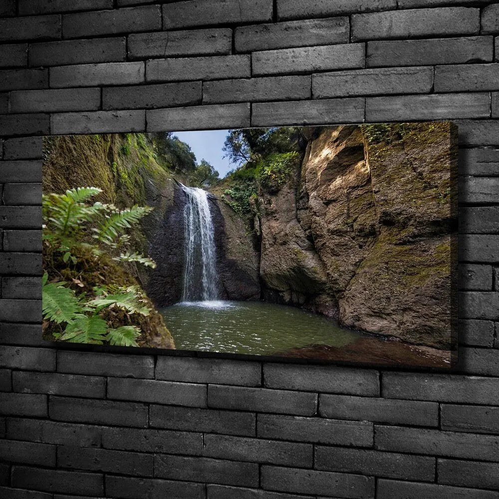 Pictură pe pânză Cascada în sardinia