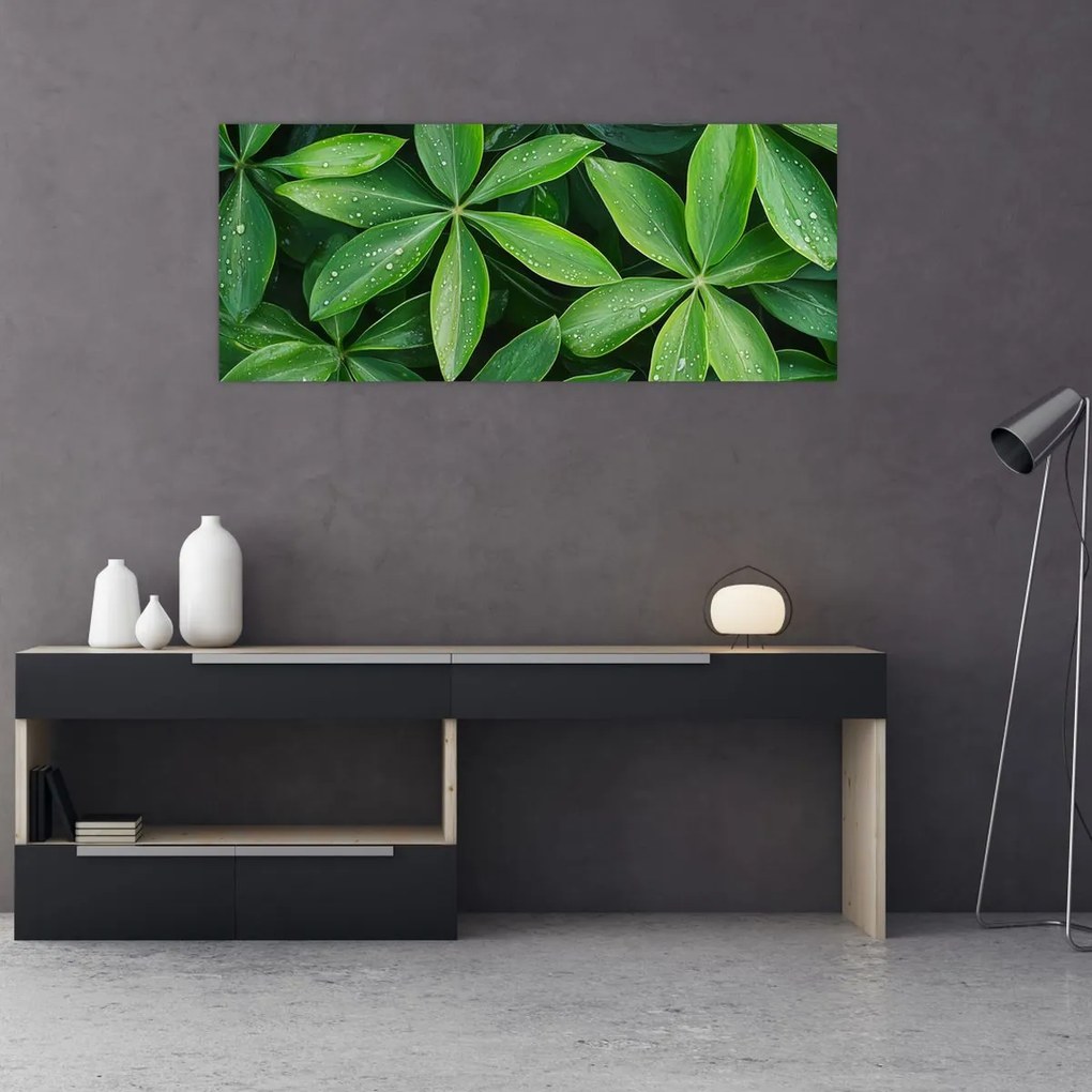 Tablou - Frunze cu picături de rouă (120x50 cm)