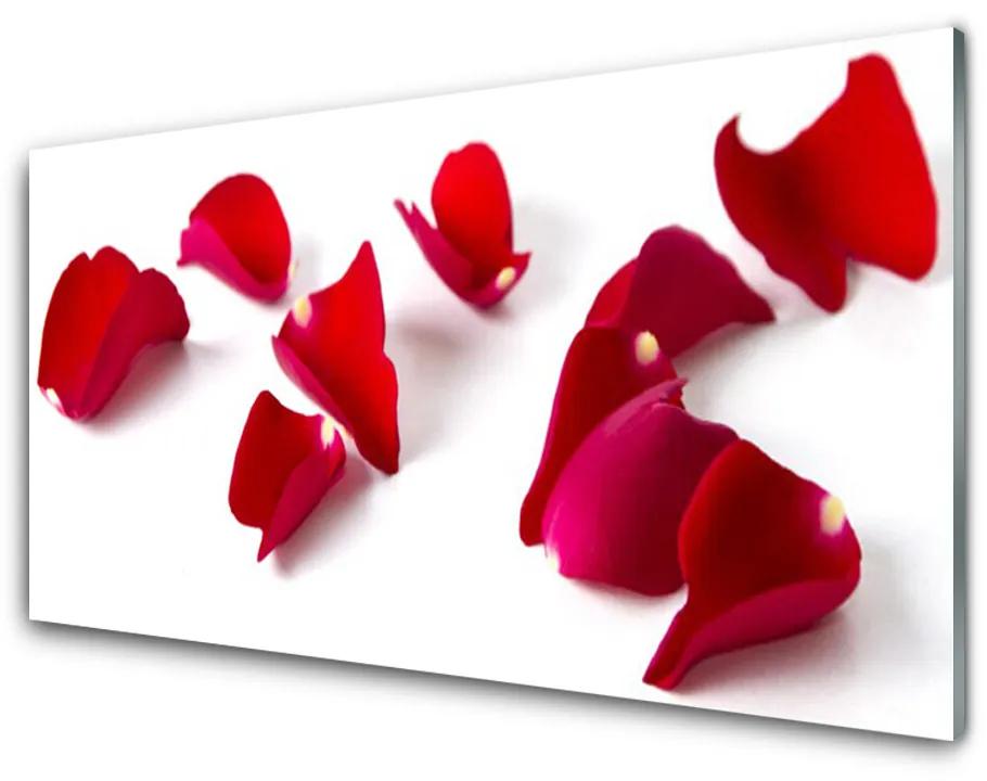 Tablouri acrilice Petale Floral Red