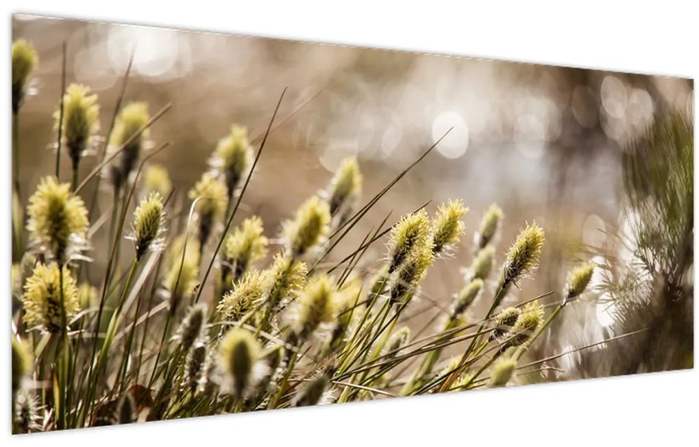 Tablou - Verde (120x50 cm)