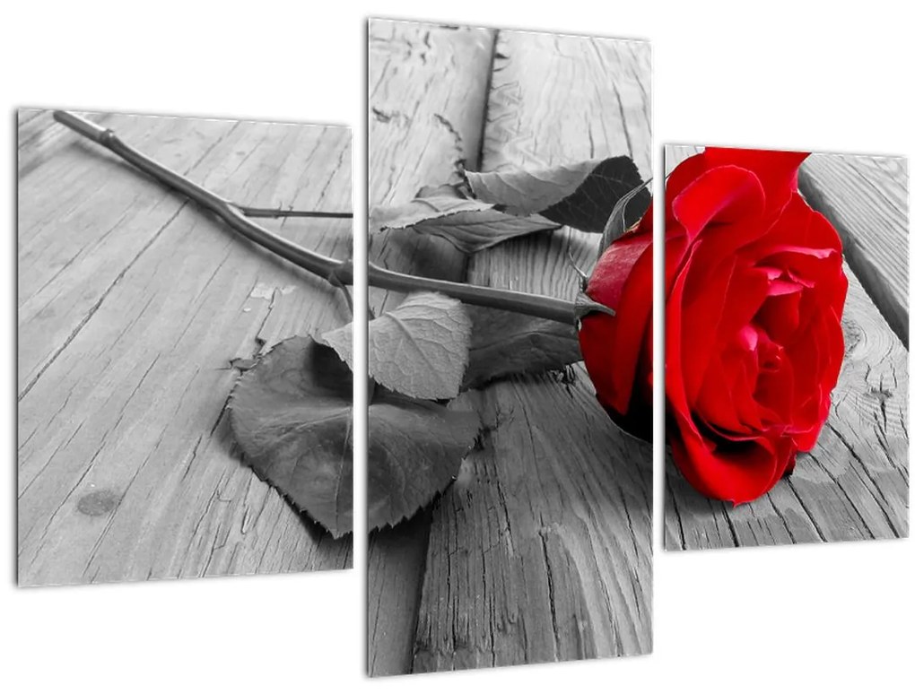 Tablou cu trandafiri roșii (90x60 cm)