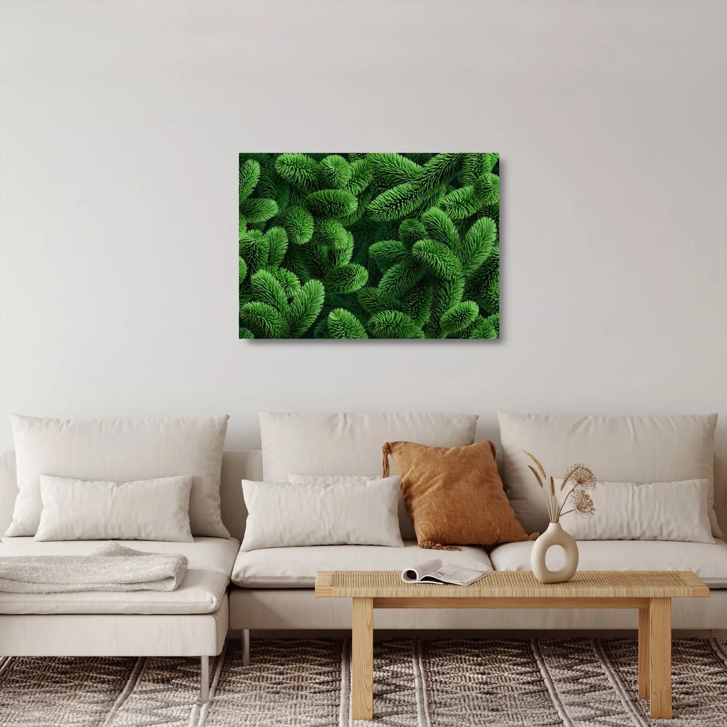 Tablou pe sticlă - Ramuri de conifere (70x50 cm)