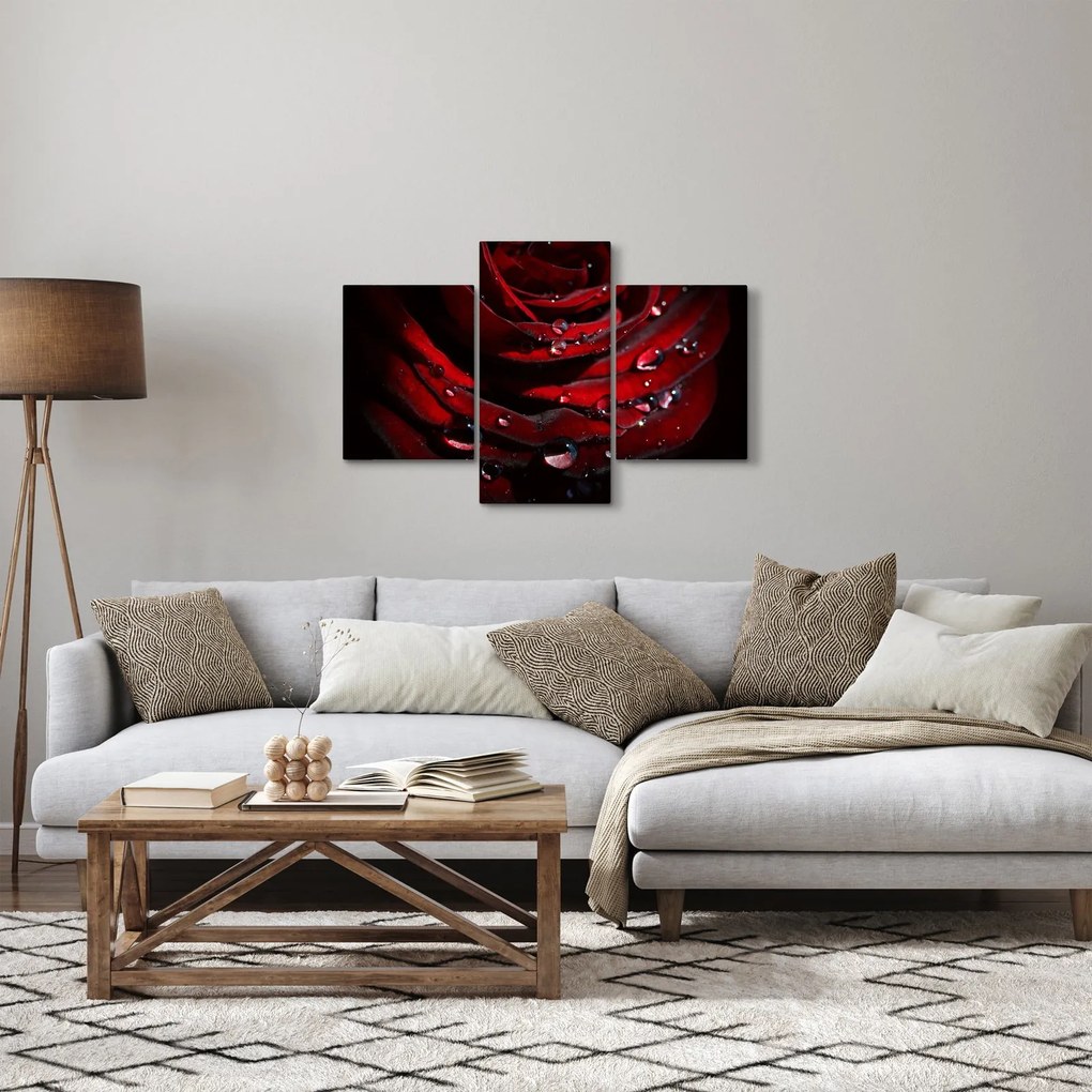 Tablou - Trandafir (90x60 cm)