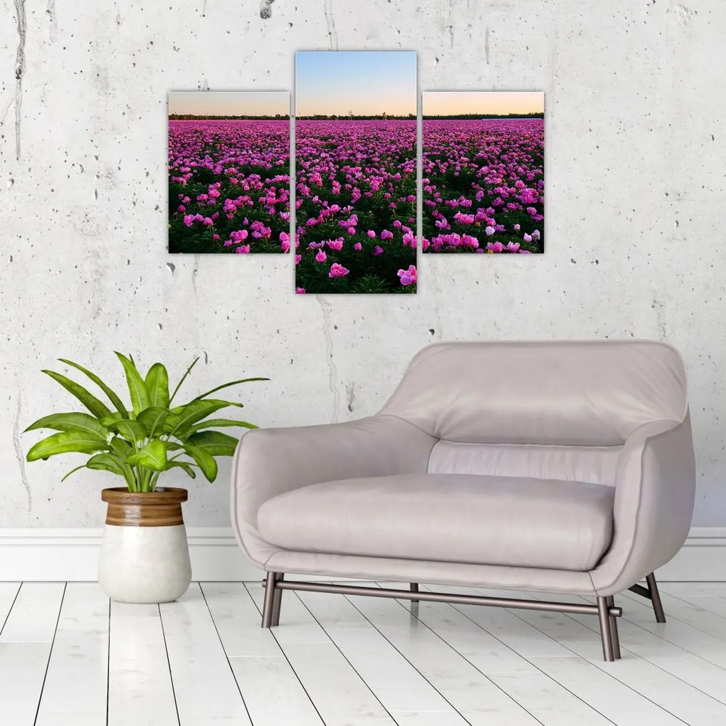 Tablou - Pajiștea cu lalele violet (90x60 cm)