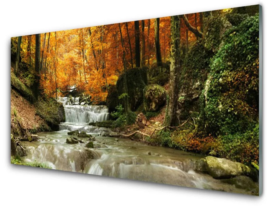 Tablou pe sticla Cascada Natural Pădurea Verde Brun Galben