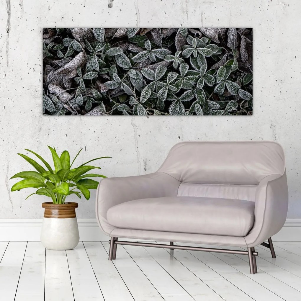 Tablou - Plante înghețate (120x50 cm)