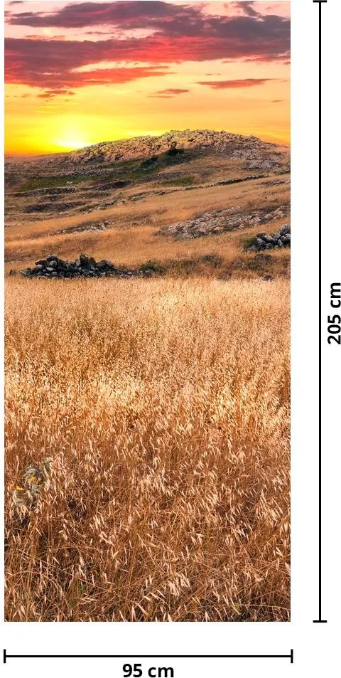 Fototapet pentru ușă - Câmpul (95x205cm)