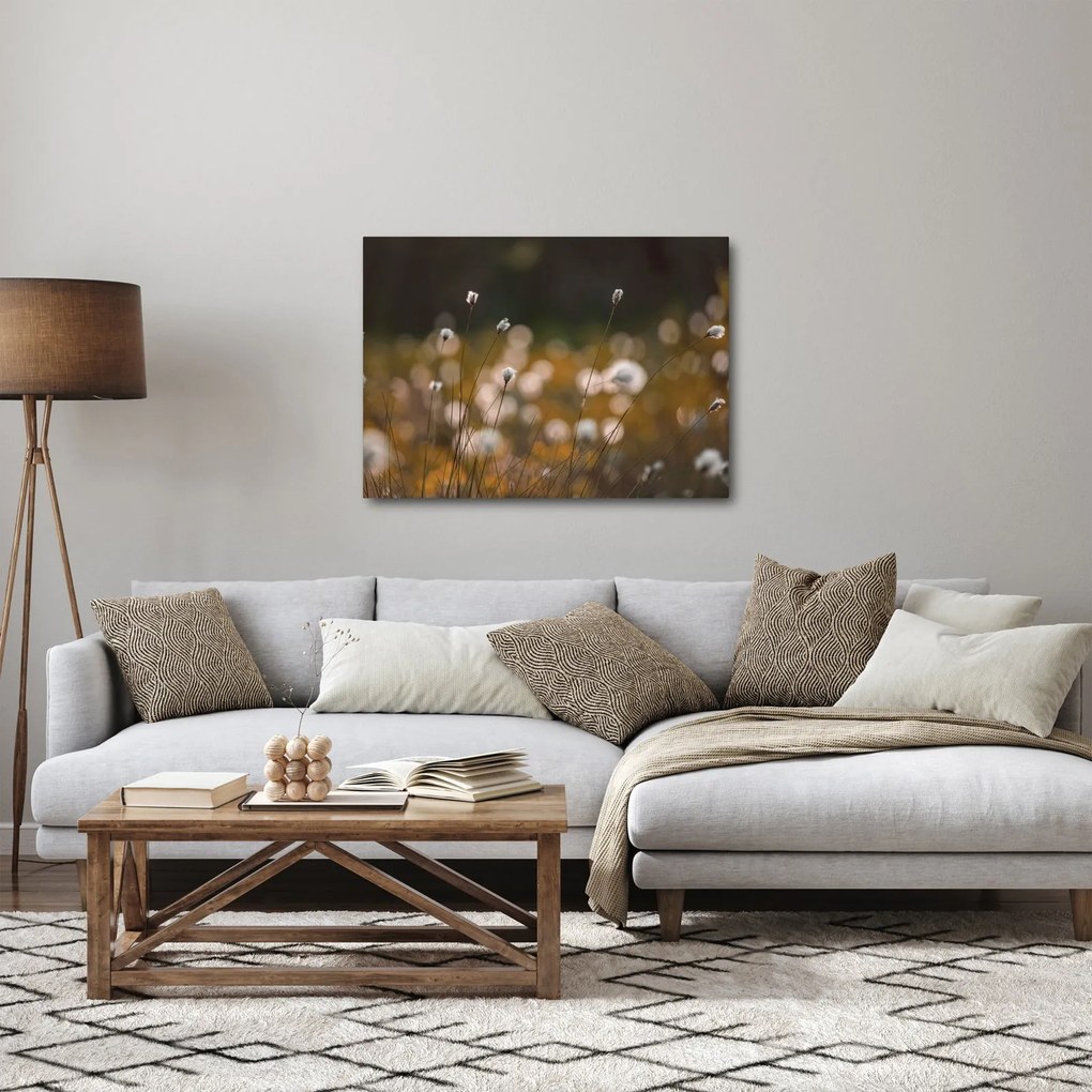 Tablou - Pajiște cu iarbă de cozonac N⁰2 (70x50 cm)