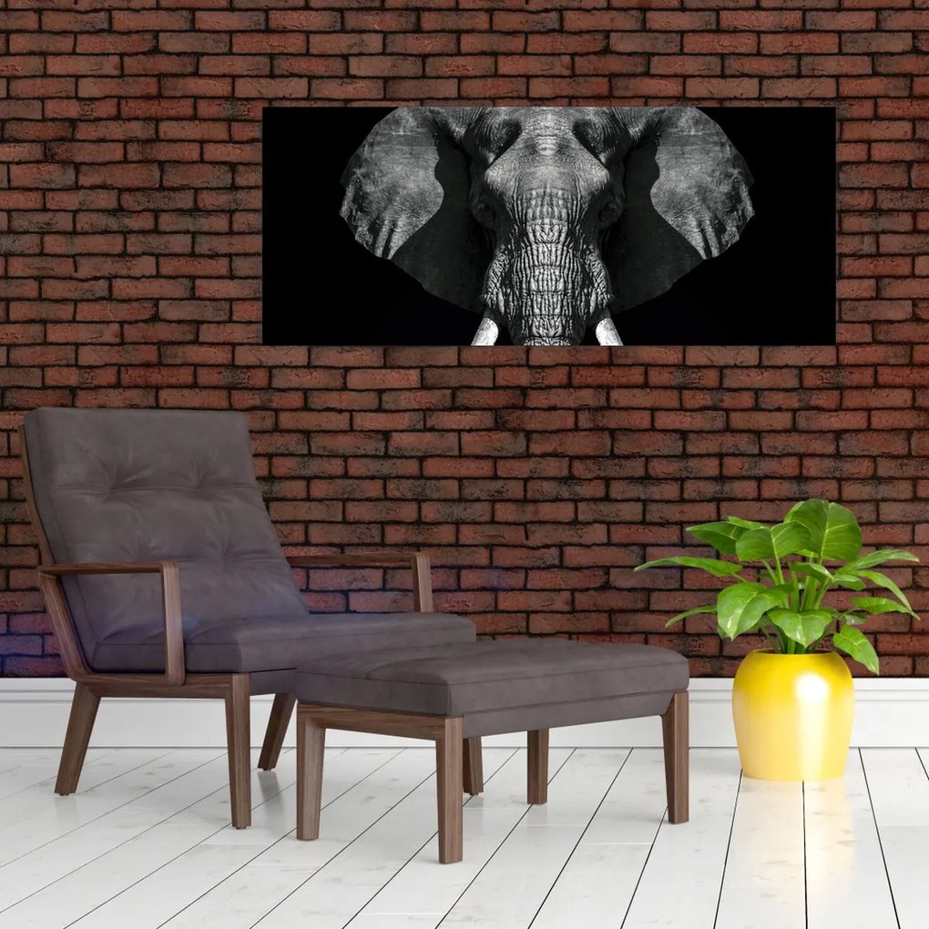 Tablou - Elefant pe fundal negru (120x50 cm)