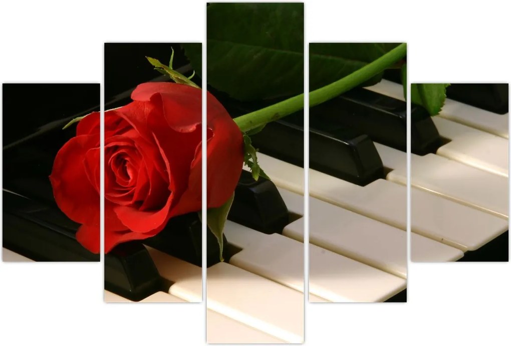 Tablou - Pian și trandafiri (150x105 cm)