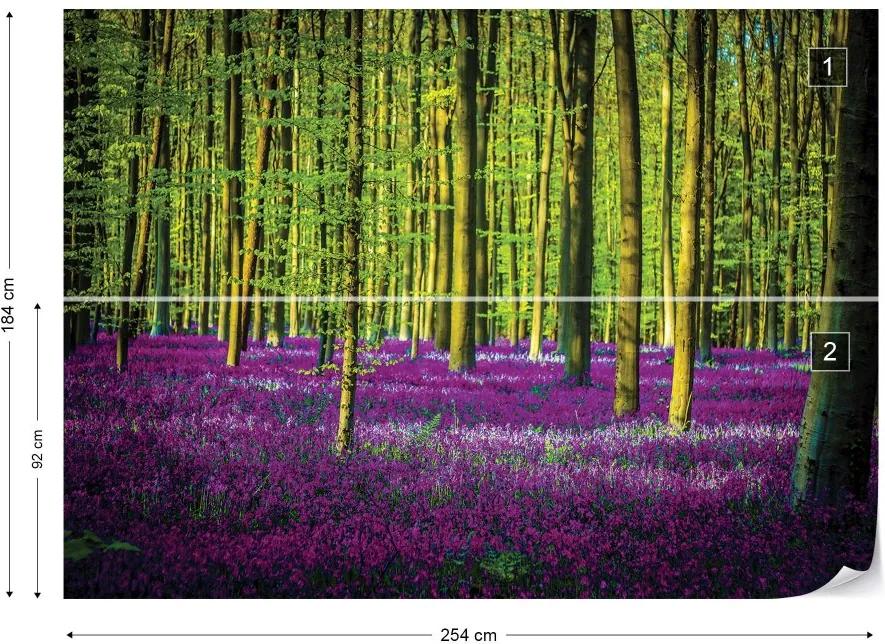 Fototapet GLIX - Purple Forest Trees + adeziv GRATUIT Tapet nețesute - 254x184 cm