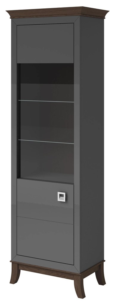 Vitrină Tyrion Typ 05 (antracit lucios + ciocolățiu) (cu iluminat). 1108296
