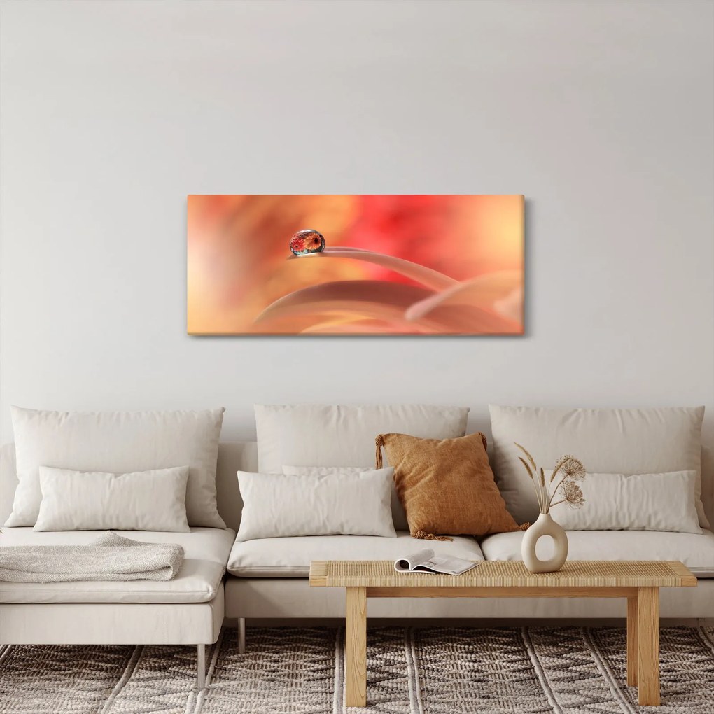 Tablou picăturii de rouă pe floare (120x50 cm)