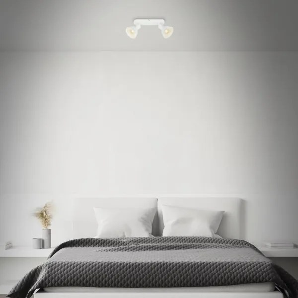 Spot Briloner 2674-026 RETRO 2xE14/25W/230V alb