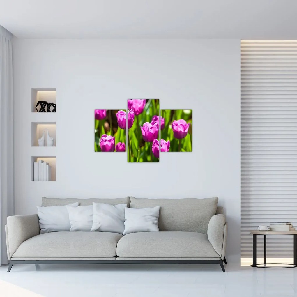 Tablou cu lale pe luncă (90x60 cm)