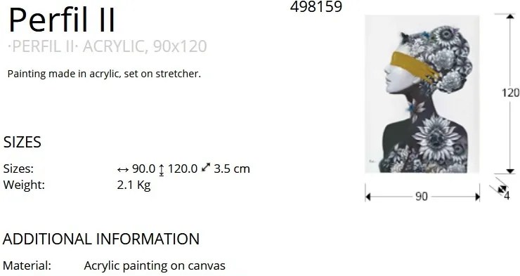 Tablou de perete decorativ canvas Perfil II, 90x120cm SV-498159