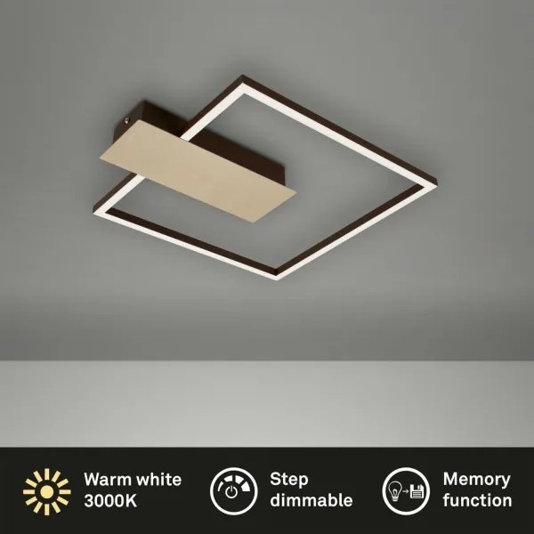 Plafonieră LED dimabilă NICO LED/12W/230V Briloner 3544-017