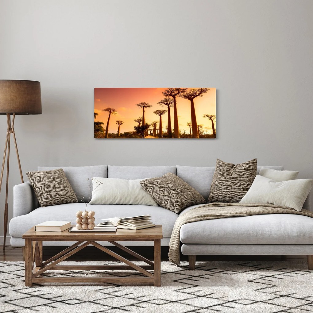 Tablou - Apus de soare pe Aleea Baobabilor (120x50 cm)