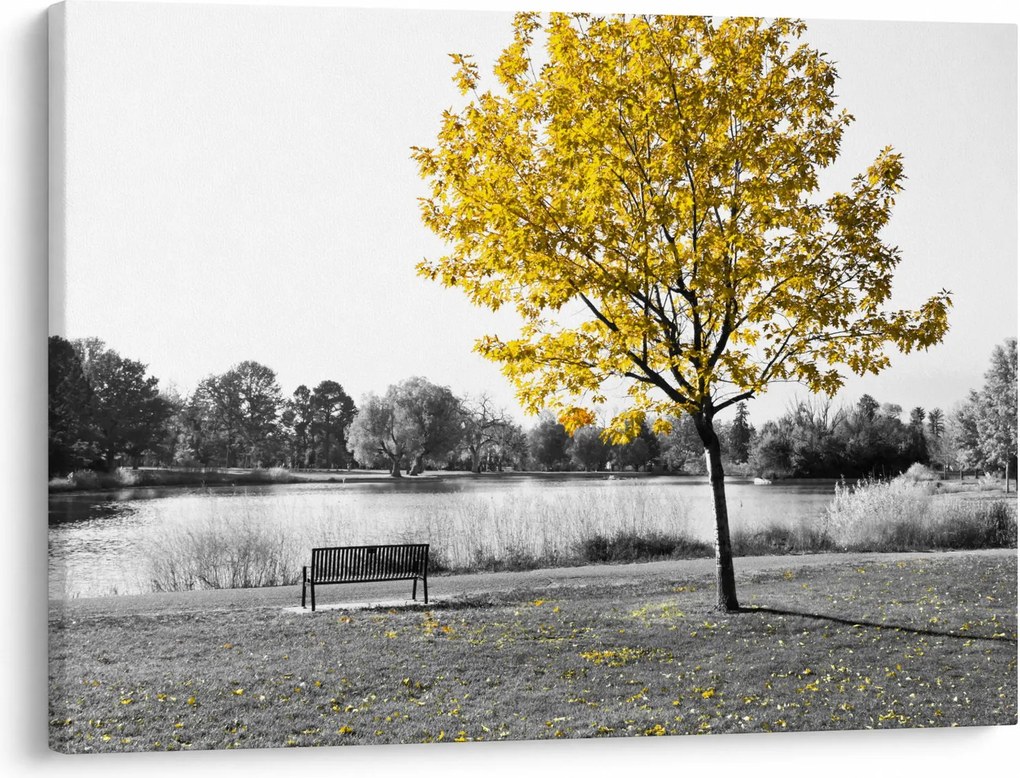 Tablou - relaxare în parc (70x50 cm)