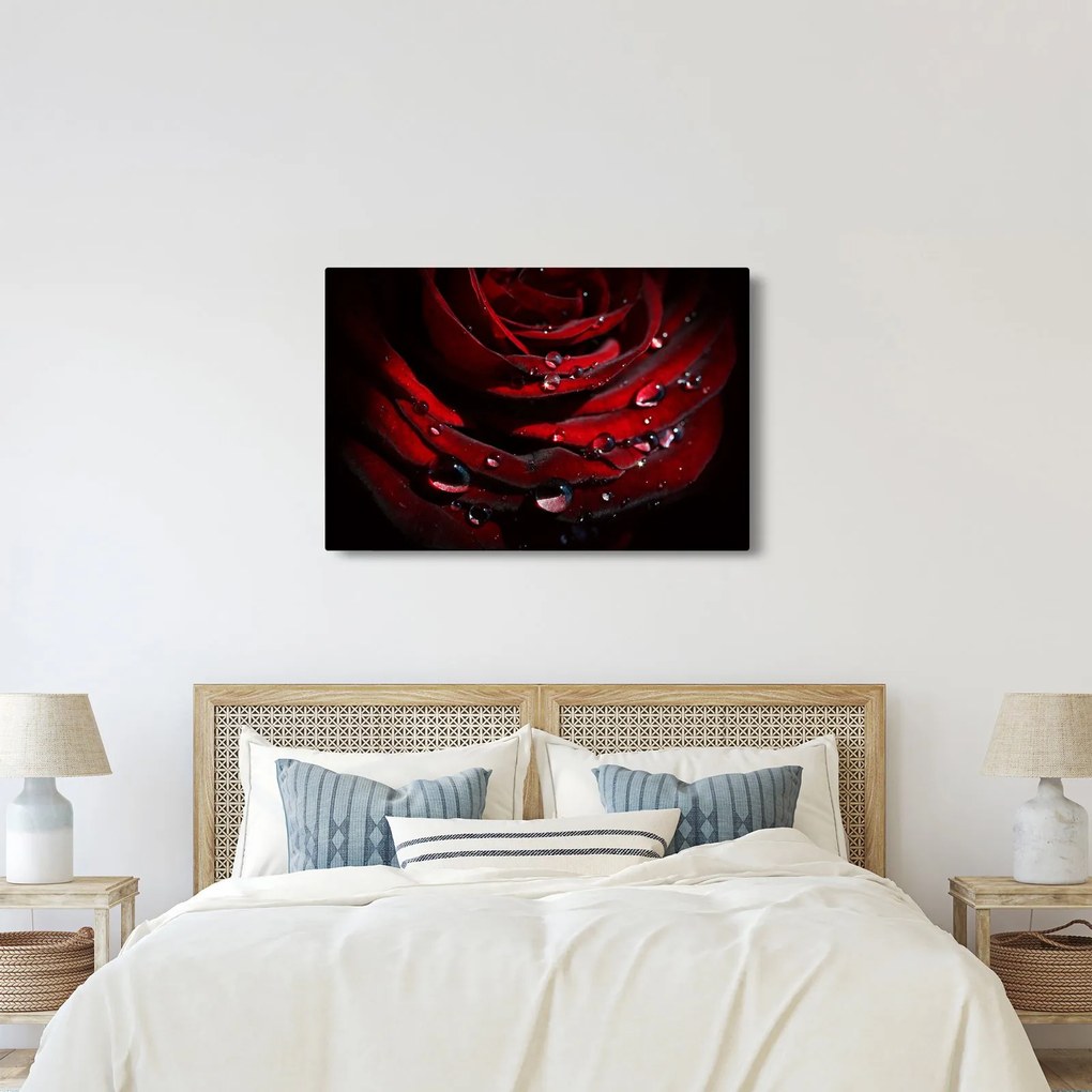 Tablou - Trandafir (90x60 cm)