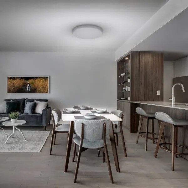 Plafonieră LED dimabilă Solight WO798 LED/36W/230V 3000-6000K + telecomandă