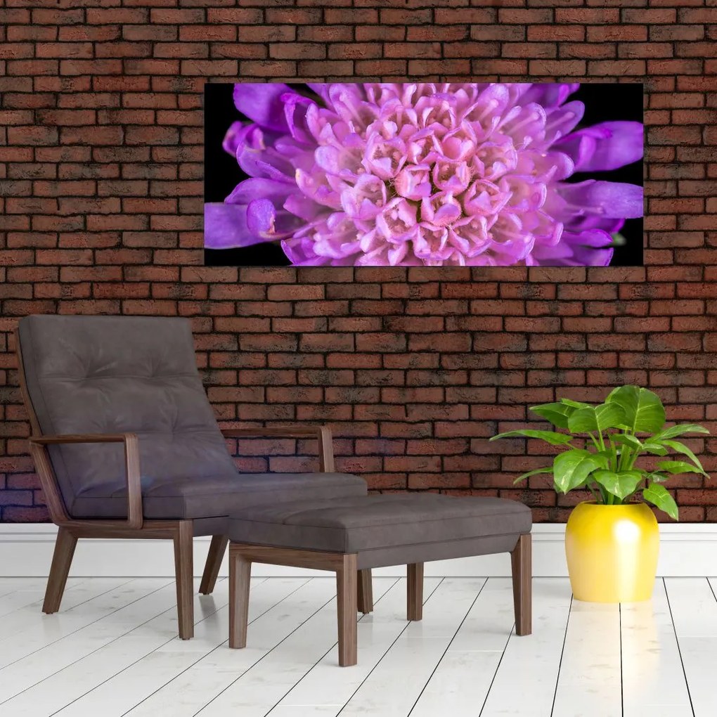 Tablou detailat cu floare (120x50 cm)