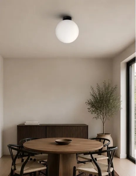 BRILAGI - Plafonieră POLOS 1xE27/40W/230V Ø 30 cm neagră