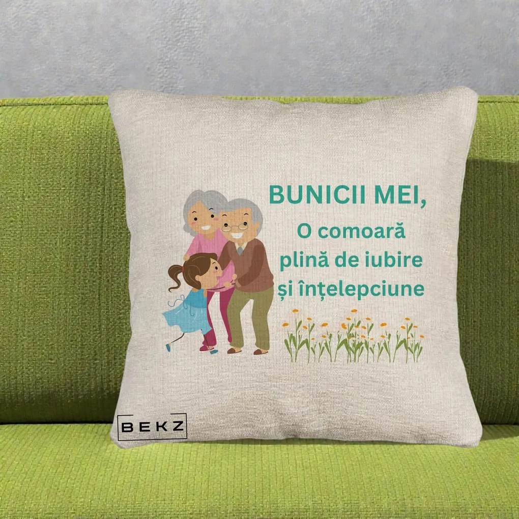 Cadou pentru Bunici - Perna Personalizata Bunicii Mei Comoara Iubire Intelepciune Nepoata, 40x40 cm, Bej Canapea, Husa Detasabila, Perna Inclusa, BEKZ®